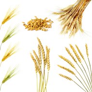 Christopher Complicated