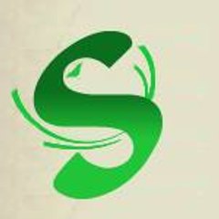 Social Express News