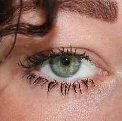 Holleyedi232
