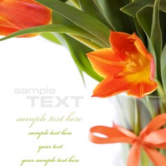 Deb Martin