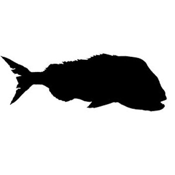 snapper fishing Tackle