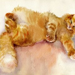 Michelle Brown