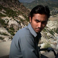Janisark24
