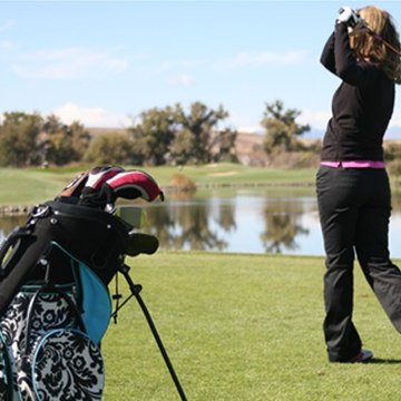 Sassycaddywomensgolfbags