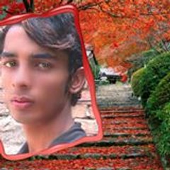 Danish Saleem