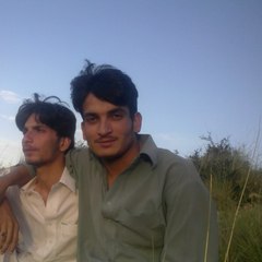 Shaban Ali9998801