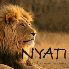 Nyati Safari
