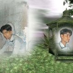 Sajjad Saleem