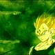 vegeto4