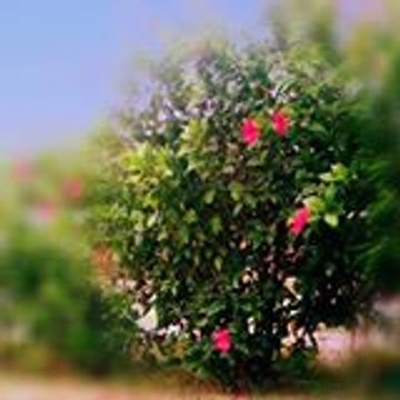 Beautifuulposts
