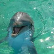 Kobieta ,,Kitty'' Kot Tv