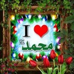 Syed Zain