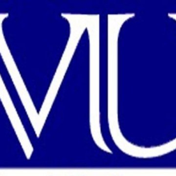 Vu Lectures