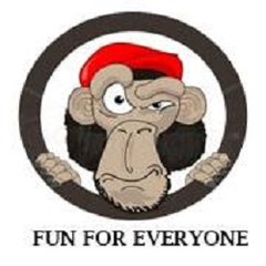 Fun for Everyone