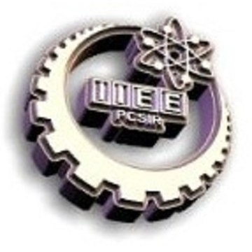 Institute of Industrial Electronics Engg