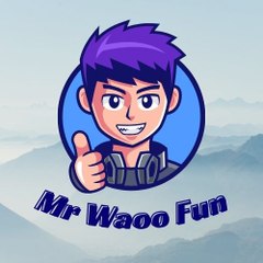 Mr Waoo Fun
