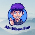 Mr Waoo Fun