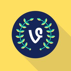 The Best Vines
