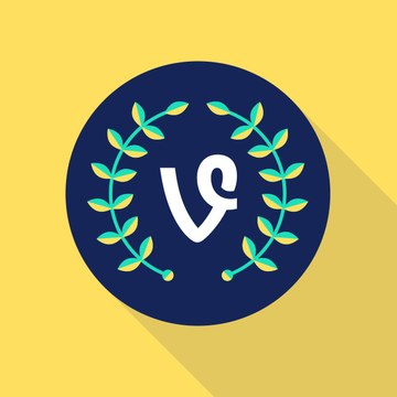 The Best Vines