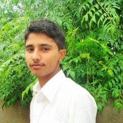 Ch Ali Hamza