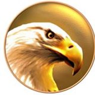 الصقر للانتاج السمعي البصري