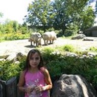 Alia Coudert-Boughanmi