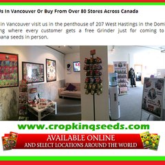 Cropkingseeds