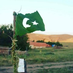 Turkish Music