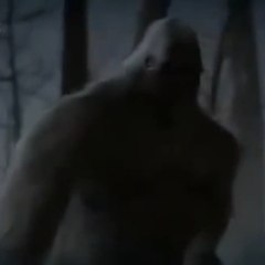 The Bigfoot Project