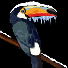 Amazonian Logistics