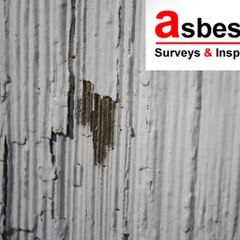 Asbestos Survey
