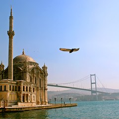 Mustafakefelioglu