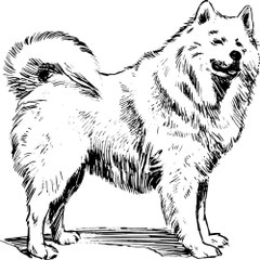 『찜알바』여우알바,전주찜알바,벼룩시장야알바,창원고수익알바정보