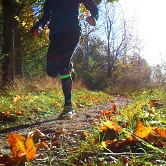 entraineMENTALtitude