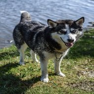 『찜알바』해외아르바이트,일산찜알바,bar알바,분당여자알바정보