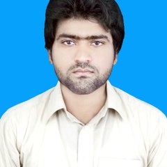 Syed Ans Mujtaba
