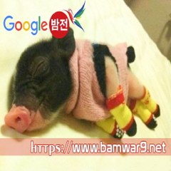 밤*의*전*쟁 일산건마 서면오피방 여의도휴게텔