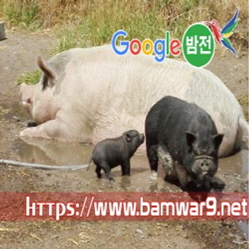 밤*의*전*쟁 건대건마 평택오피 부산 범일역 오피