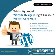 Wordpressplugindevelopers