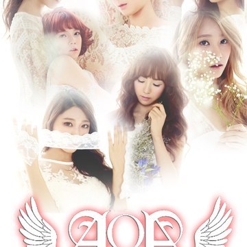 AOA Viet Nam Subteam