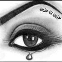 عزمى الصاوى