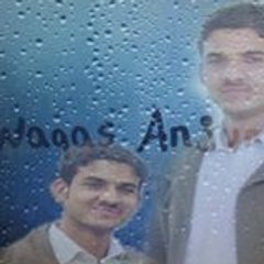 Muhammad Waqas Bashir ANJUM @@