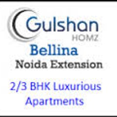 Gulshan Homz
