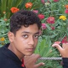 Umer Latif