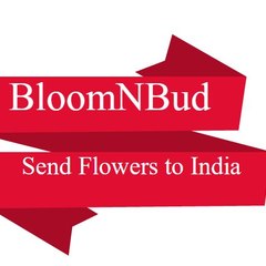 Bloomnbud