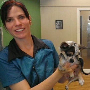 Pawsitive Image Dog Salon