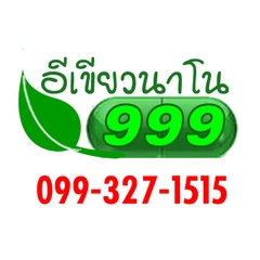 อีเขียวนาโน ของแท้ดูยังไง