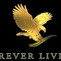 Discoverforeverpk