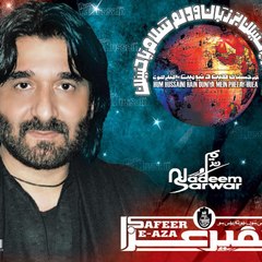 Syed Salman Hassan Zaidi