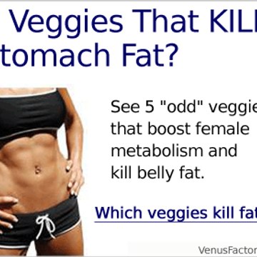 Venus Factor Diet 01